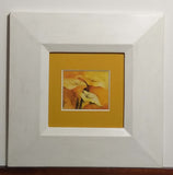 Arum Lilies - Framed Fine Art Print