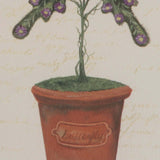 Framed Print Butterfly Topiary by Jan Cooley centre detail of pot