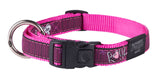 Rogz Fancy Dress Large 20mm Beach Bum Dog Collar Pink Love Design