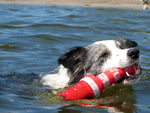 Rogz Lighthouse Dog Fetch Toy in swimming dogs mouth