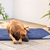 Rogz Lekka Dog Mat Grey and Navy with dog lying on it