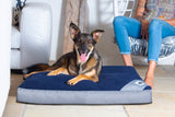 Dog sitting in Rogz Lekka Pod Flat Rectangle Oxford Dog Bed