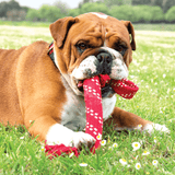 Rogz Scrubz Oral Care Interactive Dog Toy in dogs mouth