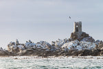 Seagull Frenzy at Old Bettys Bay Lighthouse - John Tapuch