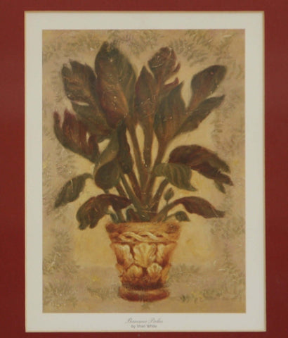 Banana Palm by Shari White. Framed Art Print