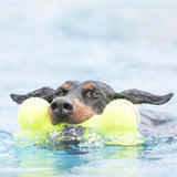 AIRDOG Yellow Squeaker Dumbbell dog Toy in dogs mouth
