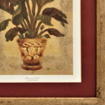 Banana Palm by Shari White. Framed Art Print bottom right detail