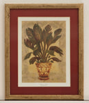 Banana Palm by Shari White. Framed Art Print