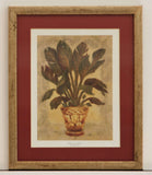 Banana Palm by Shari White. Framed Art Print