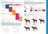 Rogz Fancy Dress Small 11mm Jellybean Fixed Dog Lead Size Fit CHart