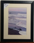 Driftwood by Stephen Pryke Framed professional photograph
