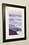 Driftwood by Stephen Pryke Framed professional photograph
