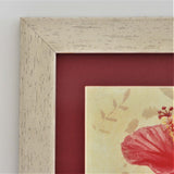 Hibiscus by Celest Framed Art Print top left corner