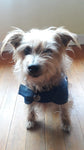 Warm, fleecy lined dog jerseys,
