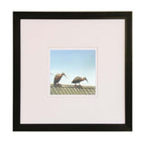 Irate Ibis in black framed fine art print