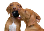 KONG Black Extreme Ball dog toy with dogs playing