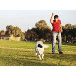 KONG Black Extreme Dog Treat Toy being chased by a dog