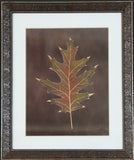 Leaf - Framed Art Print