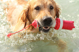 Rogz Lighthouse Dog Fetch Toy in dogs mouth