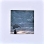 Lone Hadeda by Mark Fegen Unframed Print in a white mountboard