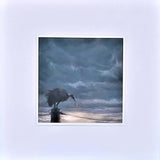 Lone Hadeda by Mark Fegen Unframed Print in a white mountboard