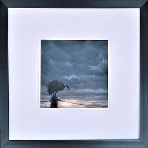 Lone Hadeda Framed Art Print by Mark Fegen in black frame