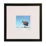 Lord of the Sky by Mark Fegen Framed Art Print in black frame