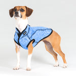 Rogz ComfySkin Dog Jacket Blue Melange