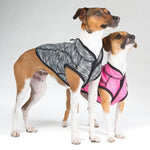 Rogz ComfySkin Dog Jacket Grey and Pink Melange on dogs