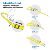 Rogz Control Multi Lead Small Dog Lead Adjustable Lead demonstration