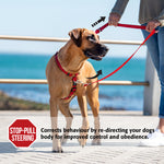 Rogz Control Multi Lead Small Dog Lead 11mm Feature