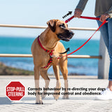 Rogz Control Multi Lead Small Dog Lead 11mm Feature