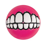 Rogz Grinz Dog Treat Ball Pink