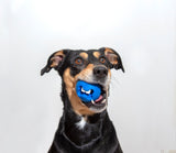 Rogz Fred Dog Treat Ball Blue in dogs mouth