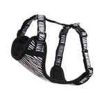 Rogz Small Dog Fashion Comfy Harness Zebra
