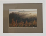 Rosetta - Stephen Pryke Framed Professional Photograph