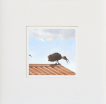 Mark Fegen Unframed Art Print in White Mountboard
