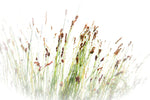 Wall Grass Decor Canvas Print